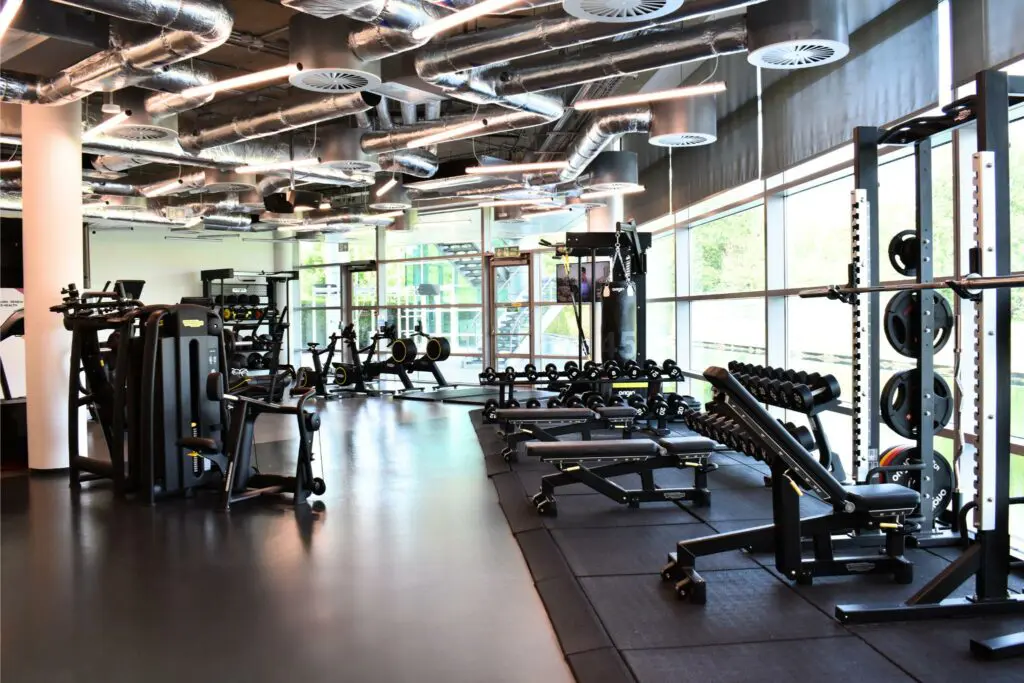 Gym owner reviewing performance